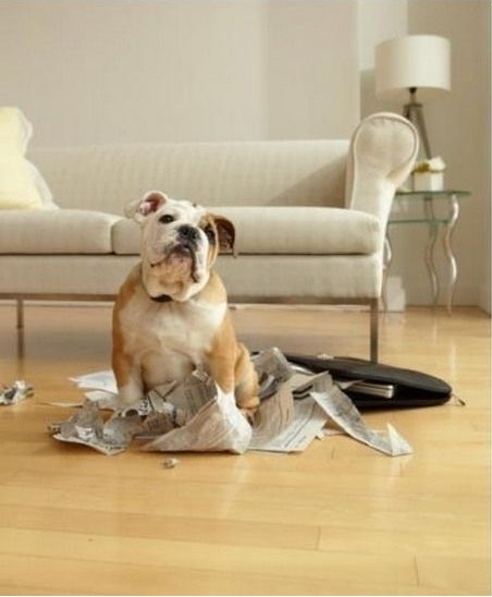 Д[OԓMһЩFءƷ